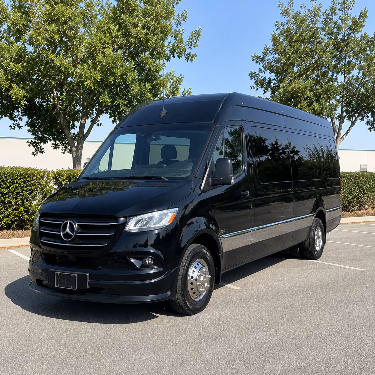 12 passenger sprinter van