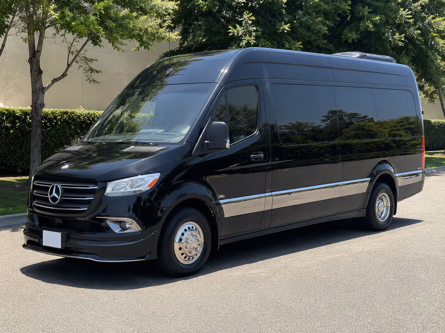 20 passenger sprinter van