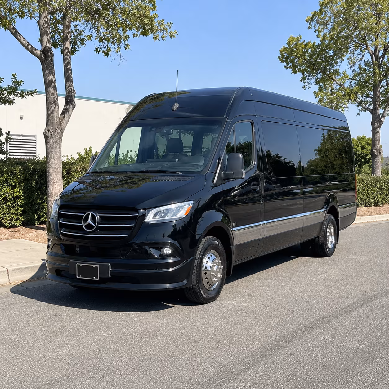 laredo wedding sprinter van rental